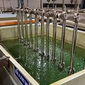 NICKEL PLATING PROCESS